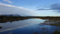 photo_haastlakehawea_1
