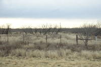 photo_immersion_10