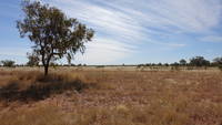 photo_barklyhighway_10
