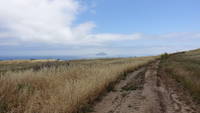 photo_santacruz_11