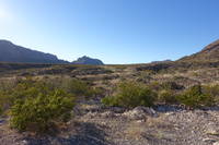 photo_bigbend_12