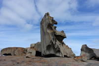 photo_kangarooisland_18