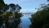 photo_ringaringavailavoe_2
