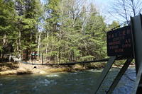 photo_elkstateforest_2