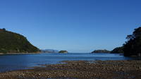 photo_greatbarrierisland_4
