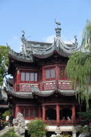 photo_shangai_4