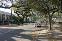 photo_neworleans_6