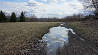 photo_elkstateforest_7