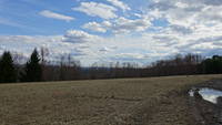 photo_elkstateforest_8