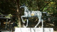 photo_temple76a1_81
