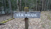 photo_elkstateforest_9